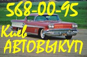 ��������� � �����. ��������� �������� ����������� � ����� ����������� ���������. 8(063)568-00-95 - ����������� 1