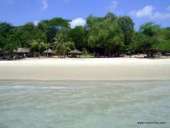 ��������� � ������� �� ���� ������� ���� 450 ��� - ����������� 2