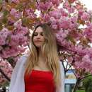 ��������� � �������� - ����������� 2