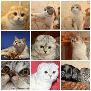 ��������� � ��������� ����� - ����������� 1