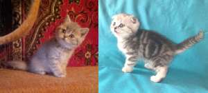 ��������� � ��������� �������� - ����������� 1