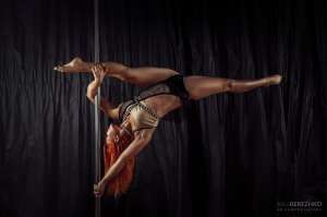 ��������� � �������������� ������� pole dance - ����������� 1