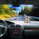 ������� � ����������: ��������� �� ����