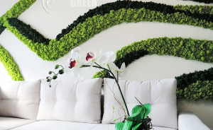 ��������� �� ���� �� Artis Green - ����������� 1