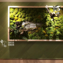 ��������� �� ���� �� Artis Green - ����������� 2