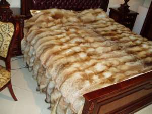 ��������� �� ���� �������� - ����������� 1