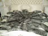 ��������� �� ���� �������� - ����������� 2