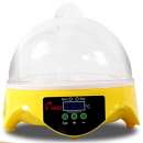 ������� � ����������: ��������� �� ���� ��������� ��� ���