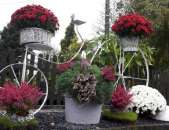 ������� � ����������: ��������� �� ����� Janex (������)