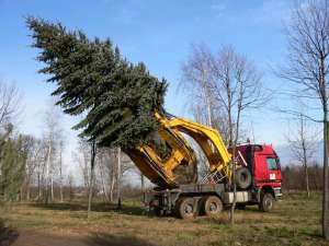 ��������� �� ����� ���������� � ������ ��������� � ������ - ����������� 1