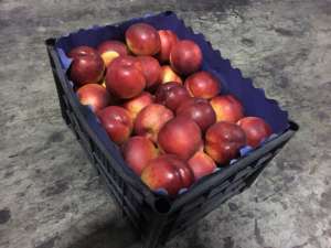 ��������� �� ������ ����� � ������� �� ������ � ������ - ����������� 1