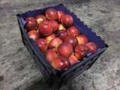 ������� � ����������: ��������� �� ������ ����� � ������� �� ������ � ������