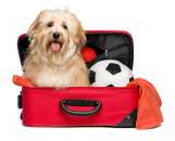 ��������� �� ������ �������� ������