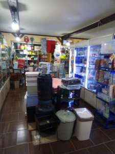 ��������� �� ������ ��������-����������� - ����������� 1