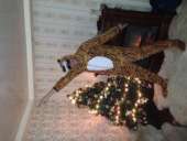 ��������� �� ��������, ����� � ���� ������ ) - ����������� 2