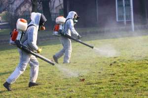 ��������� �� �������� . �����������. - ����������� 1