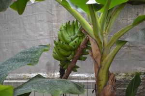 ��������� �� ��������� ����� - ����������� 1