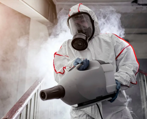 ��������� �� ���������, ������, ����, ������, ���� � ���������� - ����������� 1