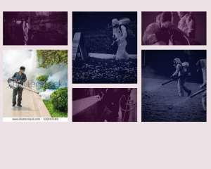 ��������� �� ���������. �������� ������ �� 12 ���. ���������� �� ������, ����������� ���������, ����������� ������, ������� ��� - ����������� 1