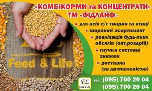 ��������� �� ����������� - ����������� 1