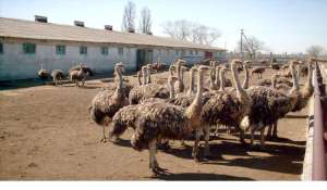 ��������� �� ����������� ����� - ����������� 1