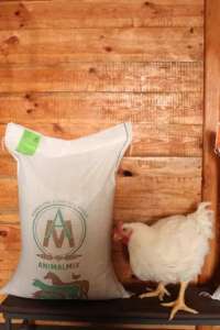 ��������� �� �������������, ����� � � ������� - ����������� 1