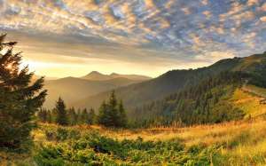 ��������� �� �����-���������� � ��������, ����� - ����������� 1