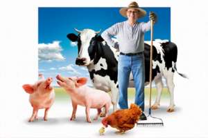 ��������� ��1000$ ��5000$ � ���. ����� ������ � ����� ������� ������� - ����������� 1