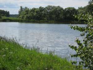 ��������� ��� - ����������� 1