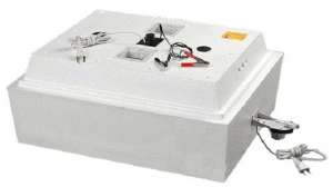 ��������� ��� ��� - ����������� 1