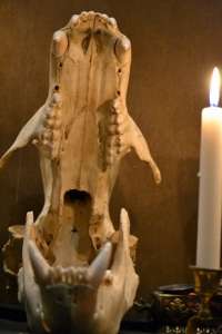 ��������� ��� ��� �������� �������� ����������, � ������ �� ����� ����������, � ��� ��������� �������� � ������ ������� �� ���� - ����������� 1