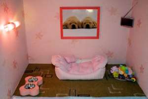 ��������� ��� ����� � ������ � ����������������. - ����������� 1