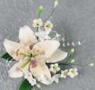 ��������� ��� ������ - ����������� 1