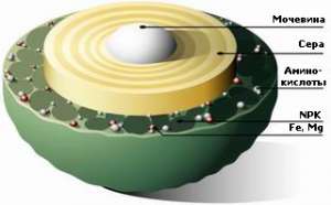 ��������� ��� ������, ������, �������, ����-�����, ���� 35,00���. - ����������� 1