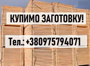 ��������� ��� �������� �����. Toppallet. �������� 2019. - ����������� 1