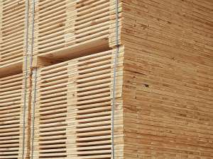 ��������� ��� ��������. �����. Toppallet.��������� ��������� - ����������� 1