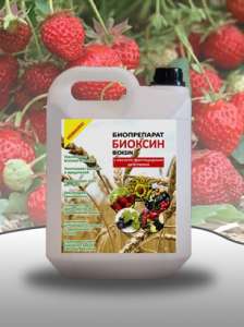 ��������� ��� ��������, ������ ���� �� �������������, ���������� �������� �� �������. - ����������� 1