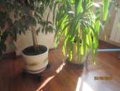 ��������� ��� ��������� ������ �� ���������. - ����������� 2