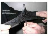 ������� � ����������: ��������� ��� ��������� ������ ������ �� �������������