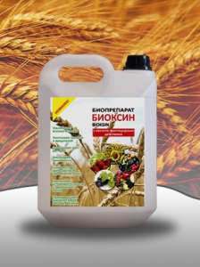 ��������� ��� ����������� ������� - ����������� 1