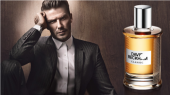 ������� � ����������: ��������� ���� David Beckham Classic