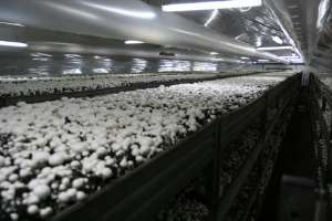 ��������� ���� � ������ �� ����� �� ����������� ����������� - ����������� 1