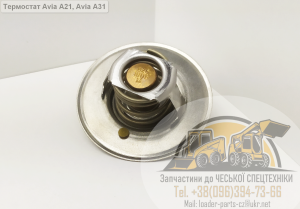 ��������� ���� �21, ���� �31 (360095091, 405461900000) - ����������� 1