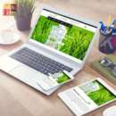 ��������� ���� ��� �����- ������ ��������������. �������� � ���������� - ������