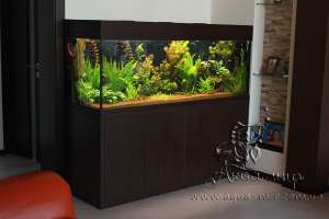 ��������� ���� ����� � ����� - ����������� 1