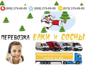 ��������� ���� (�����) ���� - ����������� 1