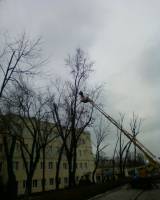 ��������� ���� ��������, ������ �������, ������� ����. - ����������� 1