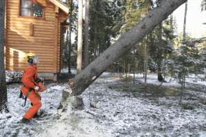 ��������� ���� �������� �������� - ����������� 1