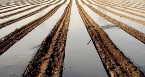 ��������� ����� 40, 30 ��� Vatan Plastik ��������� - ����������� 1