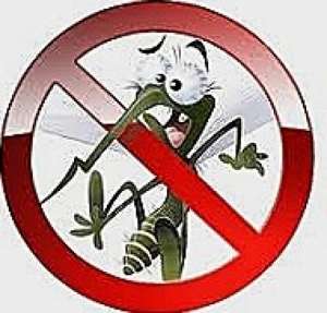 ��������� ����� - ����������� 1